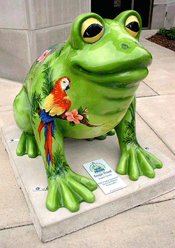 Frog-Front