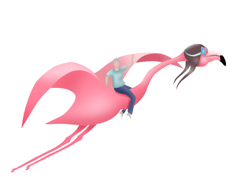 flying flamingo cartoon